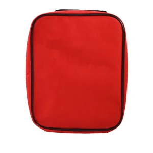 3d packing cartoon cooler bags