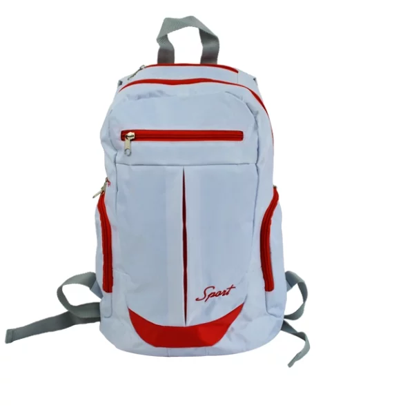 Mochilas para ordenador con bolsillo acolchado de EVA