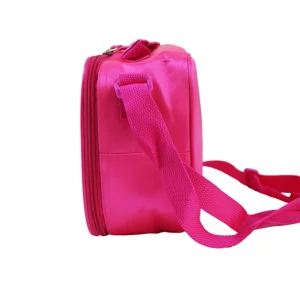 doc mcstuffins satin cooler lunch bags