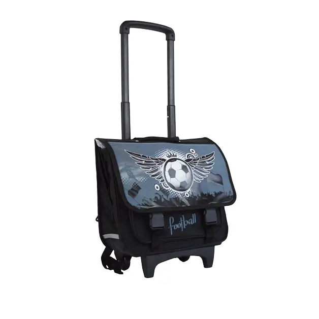 football print trolley school bags on wheels