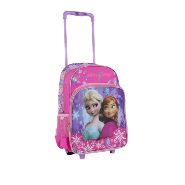 various characters frozen school bags