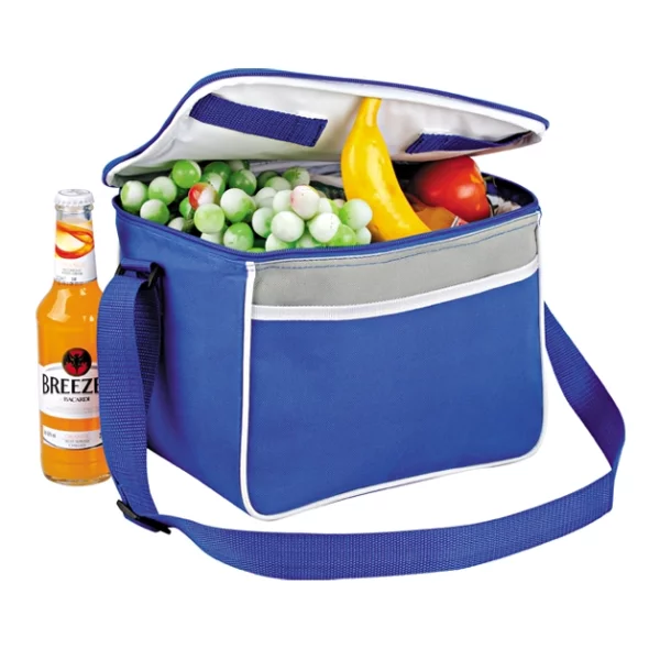 cooler bags for promotional from china