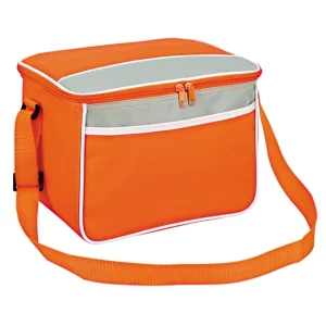 cooler bags for promotional from china