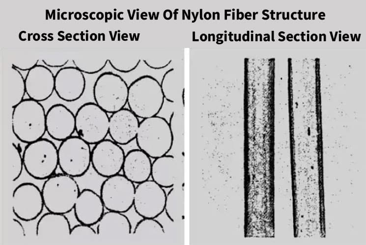 microscopic view of nylon fiber structure