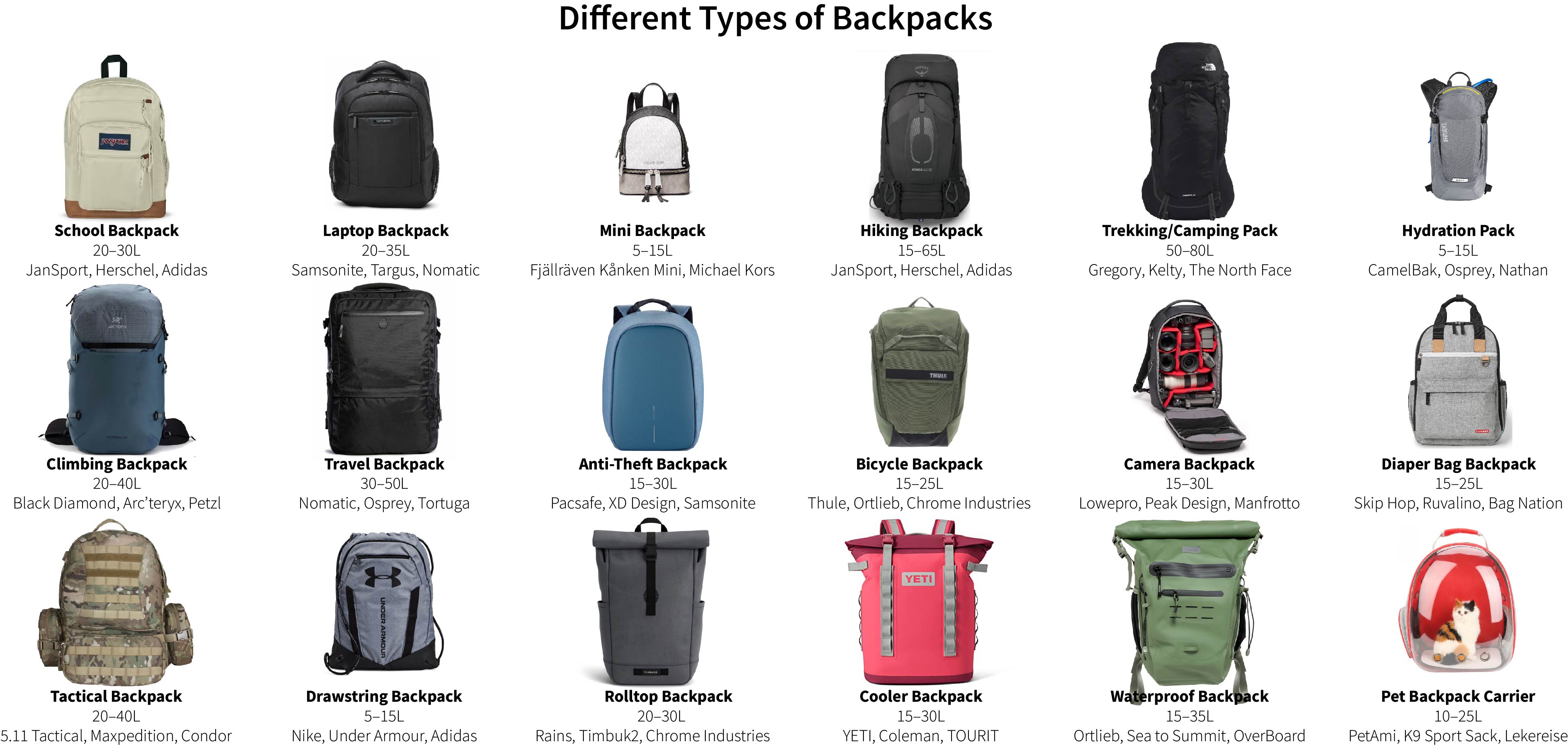 Different types of backpacks line-up: travel, school, hiking, laptop, fashion, and tactical.